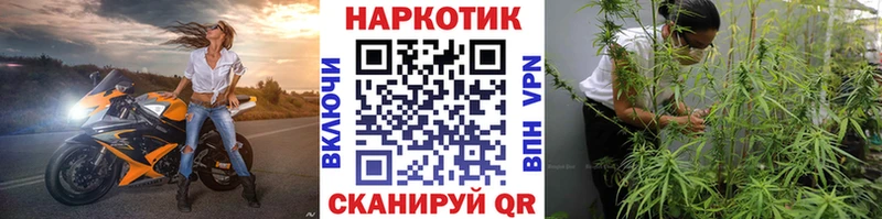 ГАШИШ Стародуб