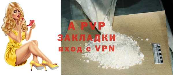 гидра Балахна