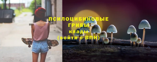 гидра Балахна